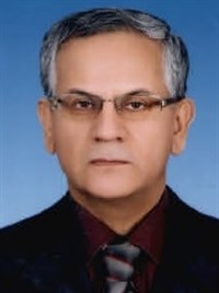 Mehmet MIZRAK
